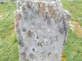 image of grave number 571516